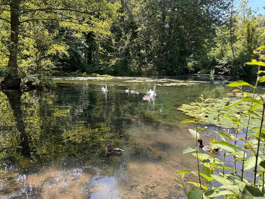 L'Impasse - Au Bord De L'Eau Vila Épagne-Épagnette Exterior foto